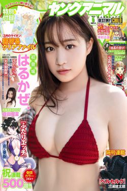 电视剧免费全集在线观看免费